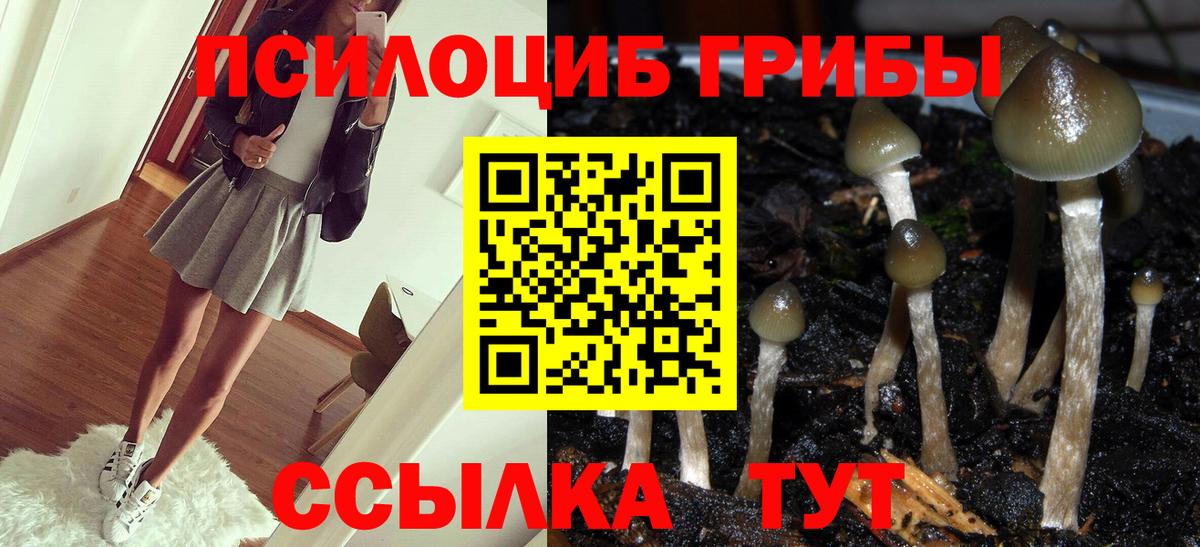 Железногорск  Псилоцибиновые грибы ЛСД  Вход с VPN 
