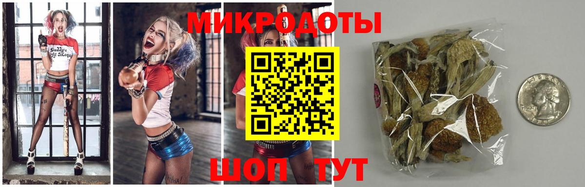 Галлюциногенные грибы Magic Shrooms Железногорск